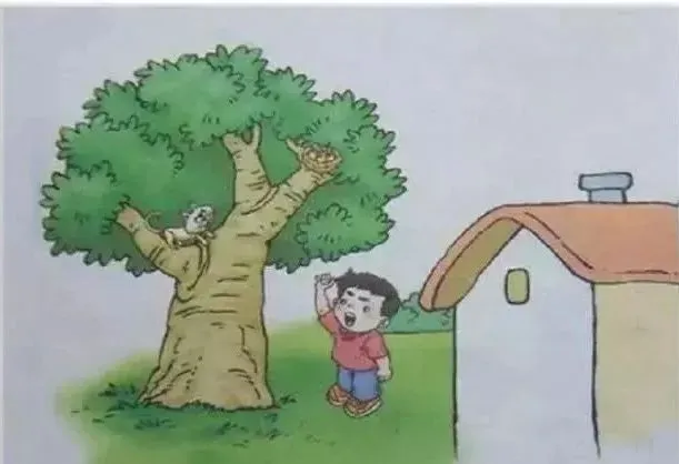 为什么大前锋在比赛中需要特别的体能训练?_0